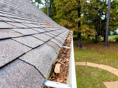 Gutter Cleaning Services