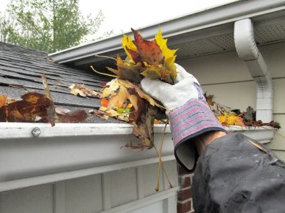 Gutter Cleaning Services