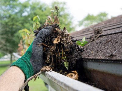 Professional Gutter Cleaning